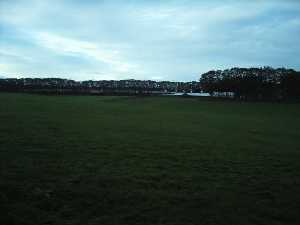 KIF_10400.jpg