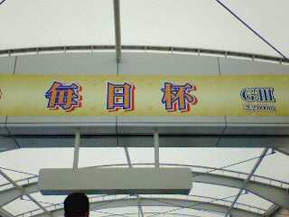ほぼ1年ぶりの阪神競馬場
