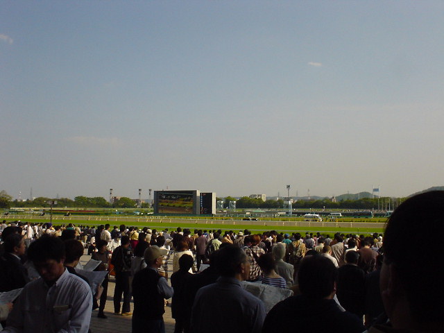 tokyo_race_cource.jpg